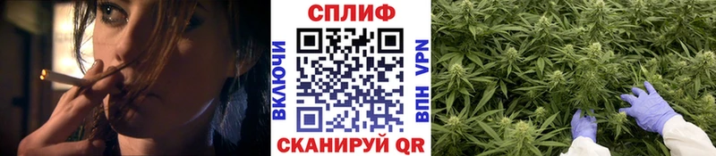 Где найти наркотики Мосальск Alpha-PVP  COCAIN  Меф мяу мяу  Гашиш 