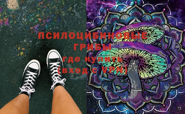 ешки Няндома