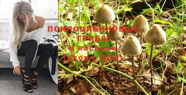 ешки Няндома