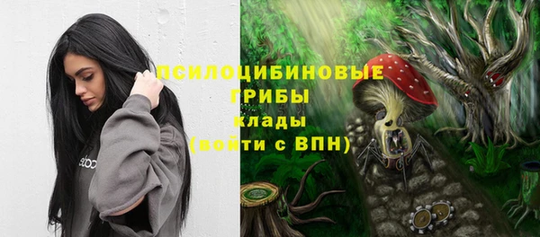 ешки Няндома